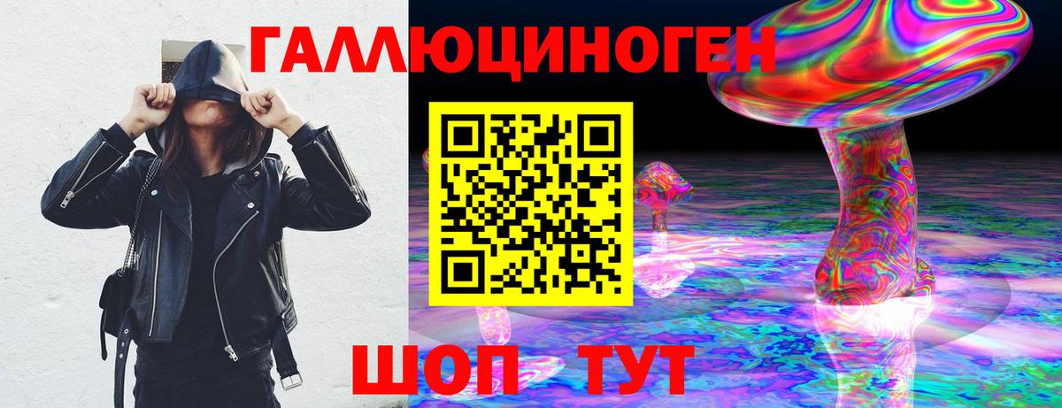 Ипатово  Галлюциногенные грибы Psilocybine cubensis  Вход с VPN 