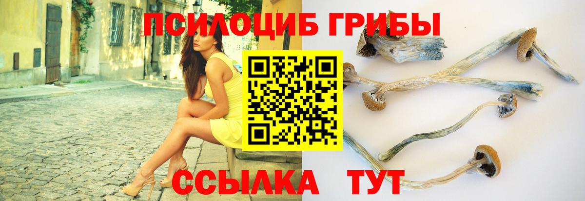 Галлюциногенные грибы GOLDEN TEACHER Ипатово